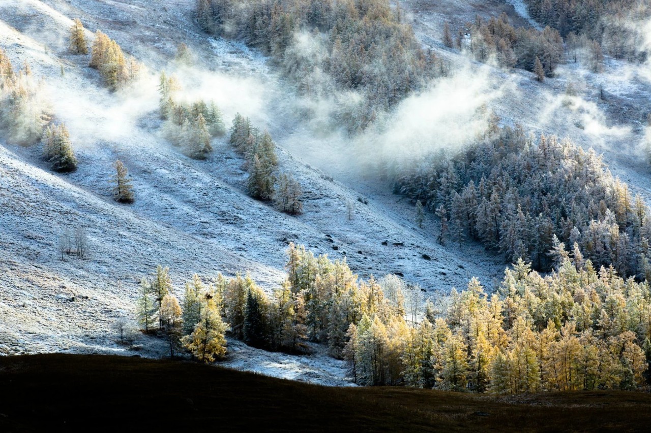 新疆之光，引领科技生活新纪元的领先高科技产品介绍